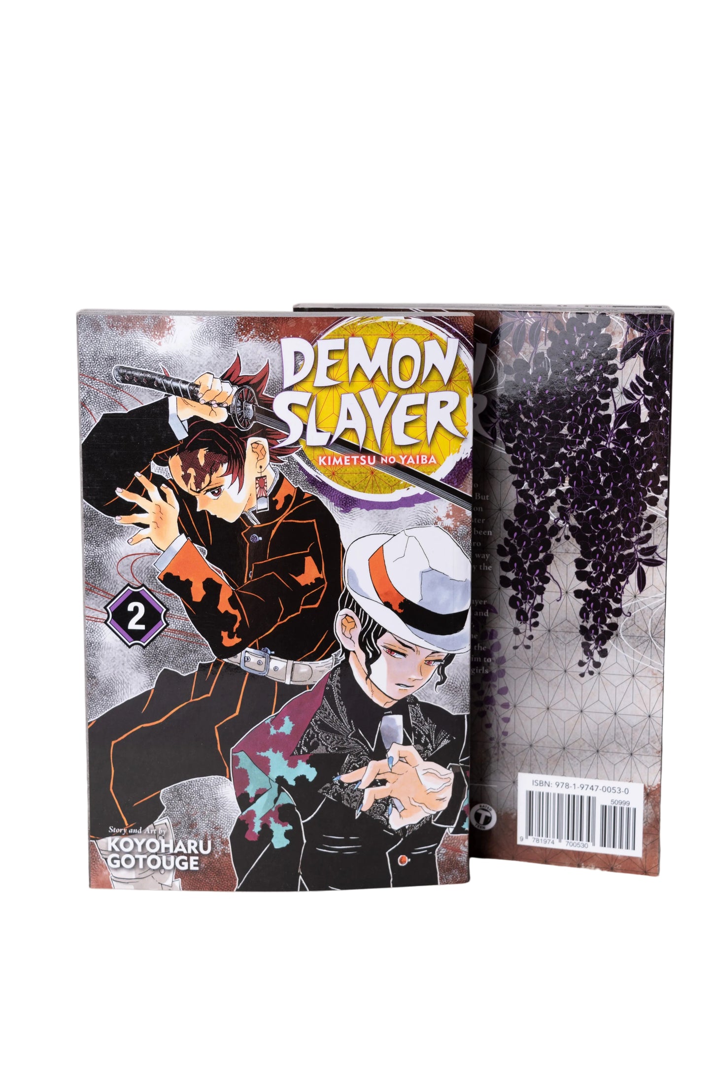 DEMON SLAYER KIMETSU NO YAIBA VOL 02